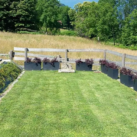 Дом отдыха La Ca Del Bisun Колико